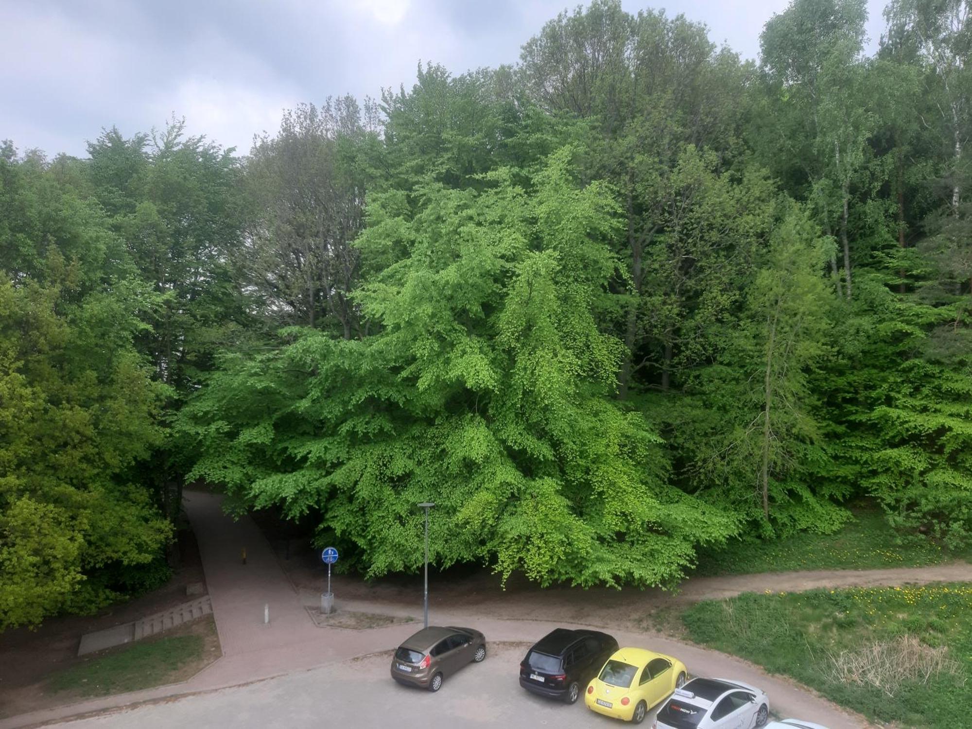 Lesny Loft Leilighet Gdynia