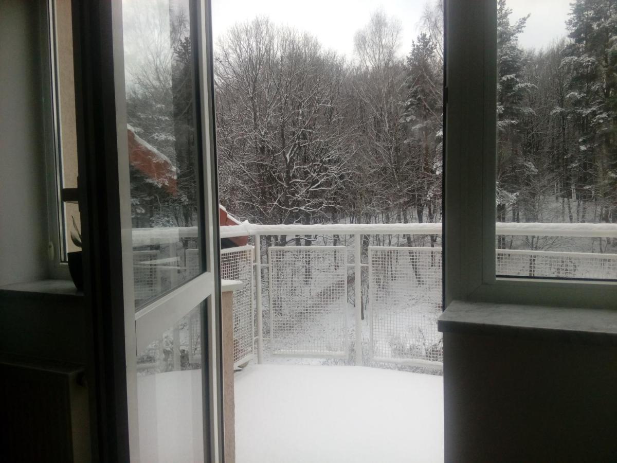 Lesny Loft Gdynia